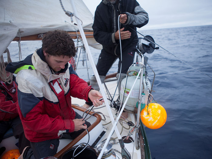 Marine Mammal Monitoring